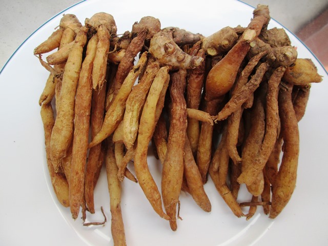 Củ Ngải Bún Tươi 500gram