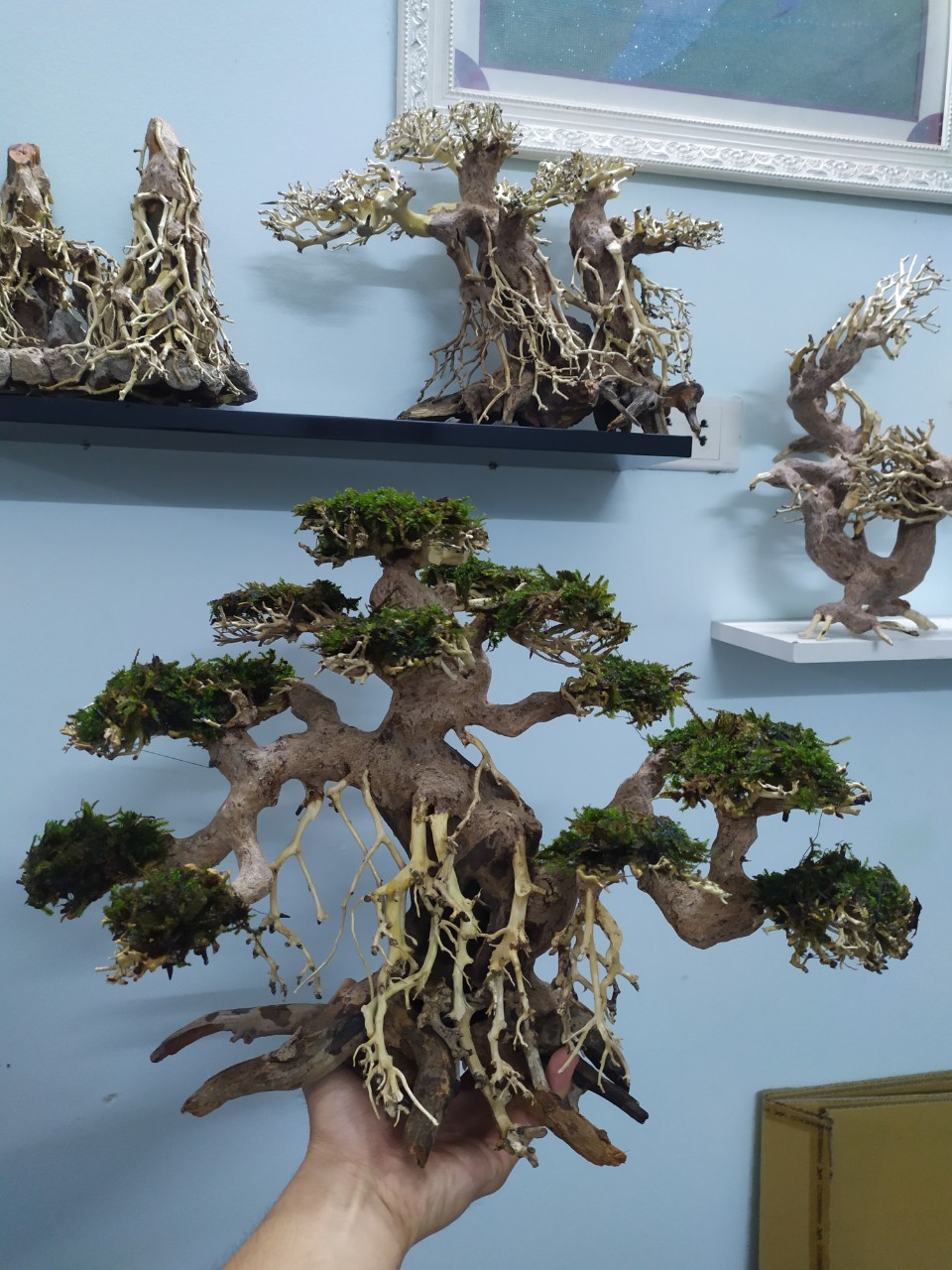 Lũa Bonsai Mini kiểu dáng xoè Trang Trí Bể Cá - Bể Thủy Sinh (C:30cm D: 40cm)