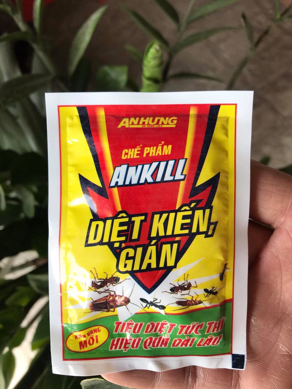 Combo 2 gói - Chế phẩm trừ Kiến Gián ANKILL (gói 20gr)