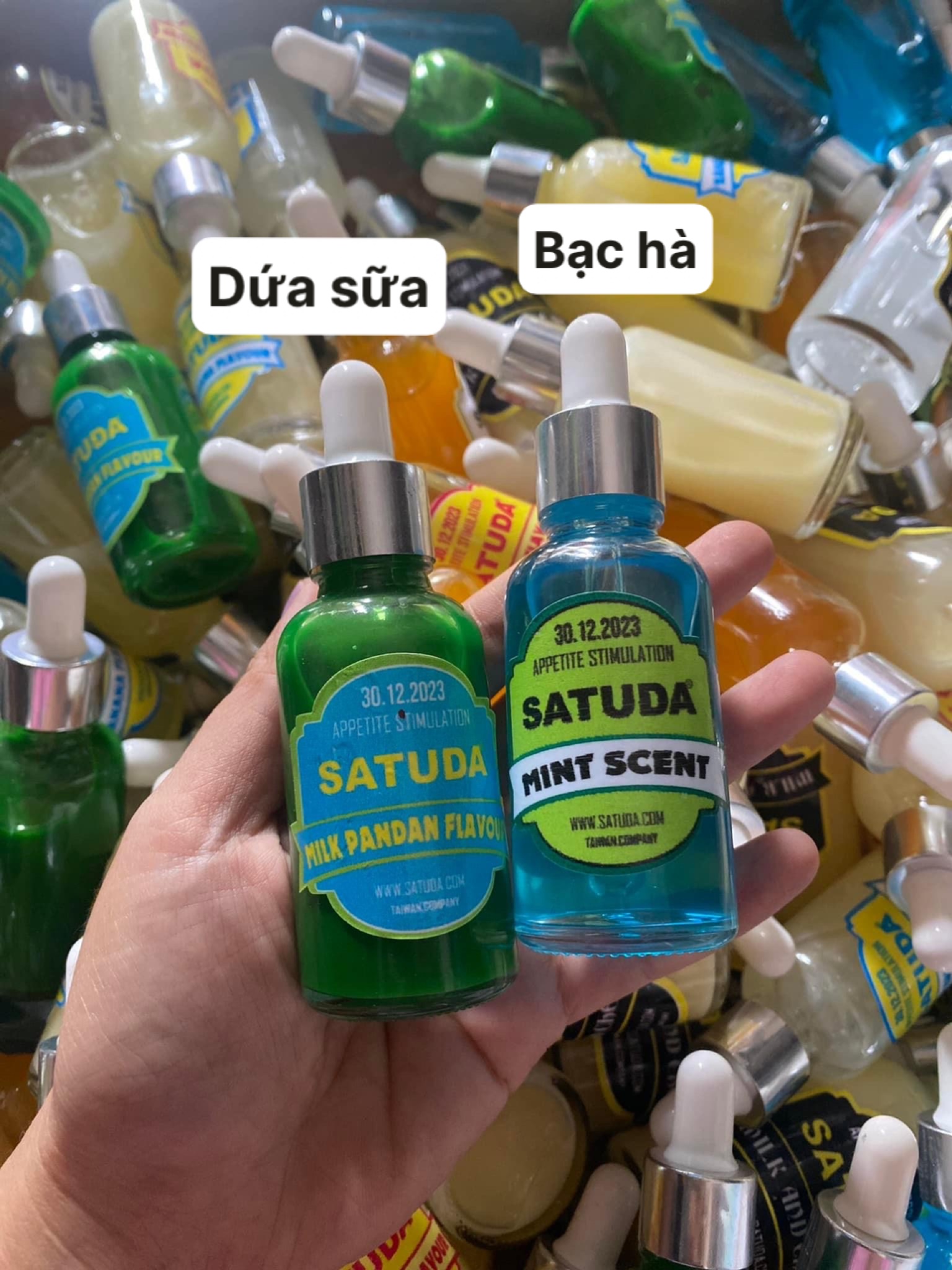 TINH MÙI CÂU CÁ SATUDA