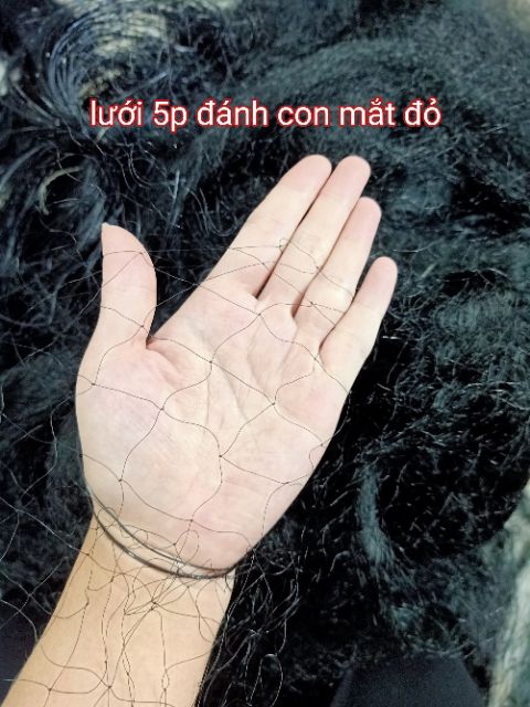 LƯỚI BẪY CHIM ĐÊM 7P.CAO 5,5M SỌI 20MM