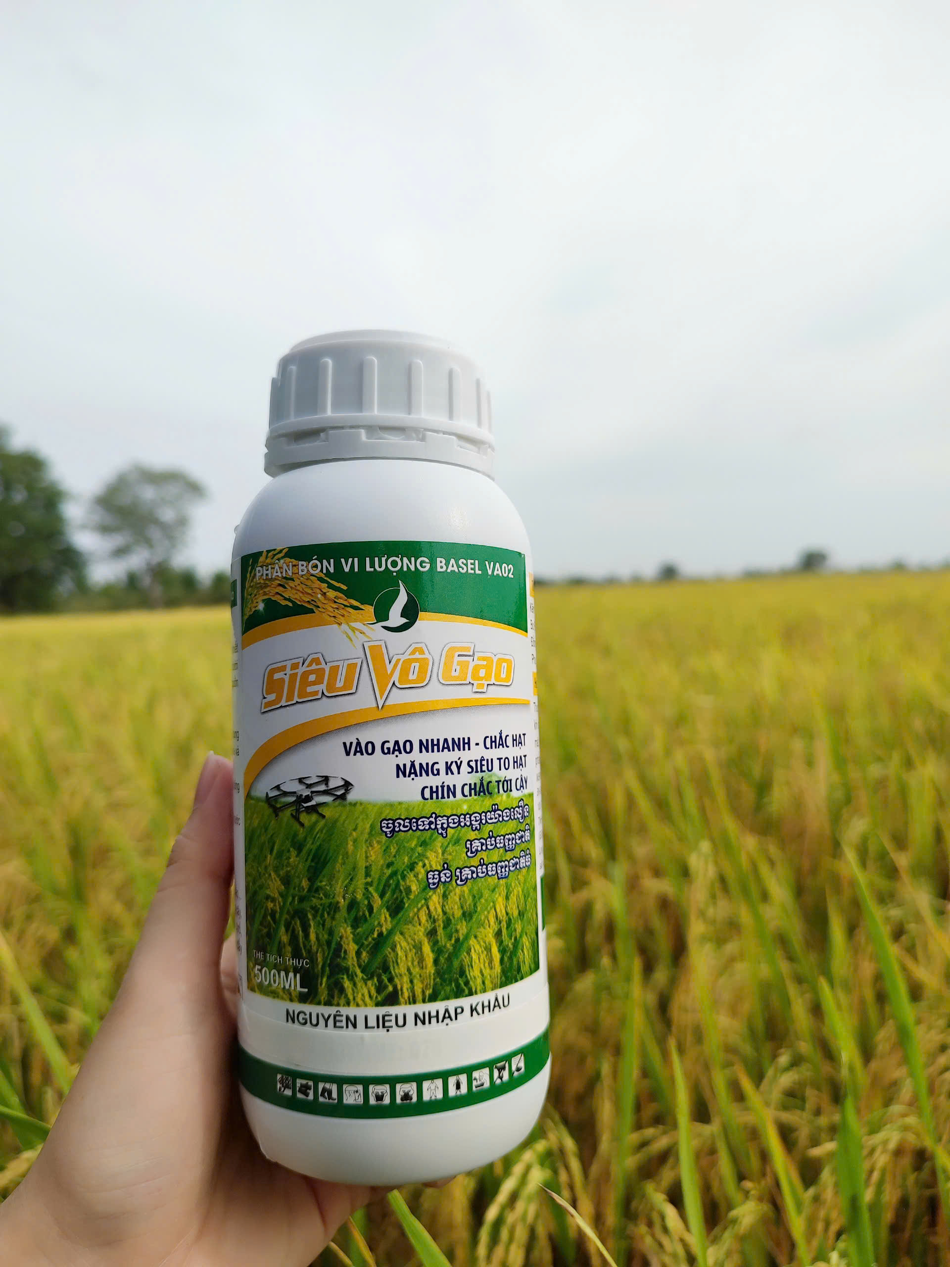Phân bón lá - Lúa trổ thoát đòng, bung đòng mạnh, vô gạo nhanh (Siêu vô gạo 500ml)