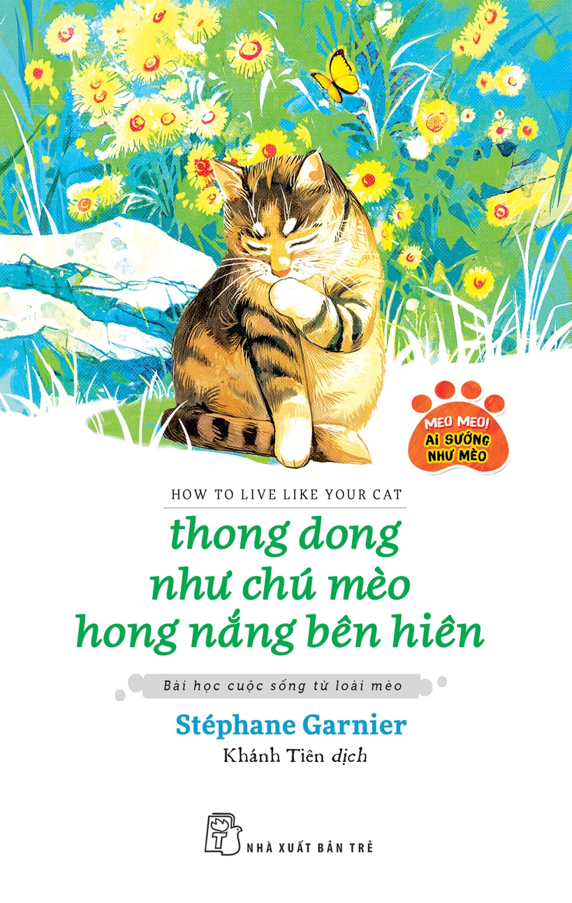 Thong dong như chú mèo hong nắng bên hiên