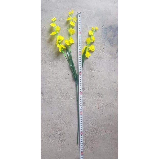 cành lan vũ nữ giả, cành 65cm 3 nhánh