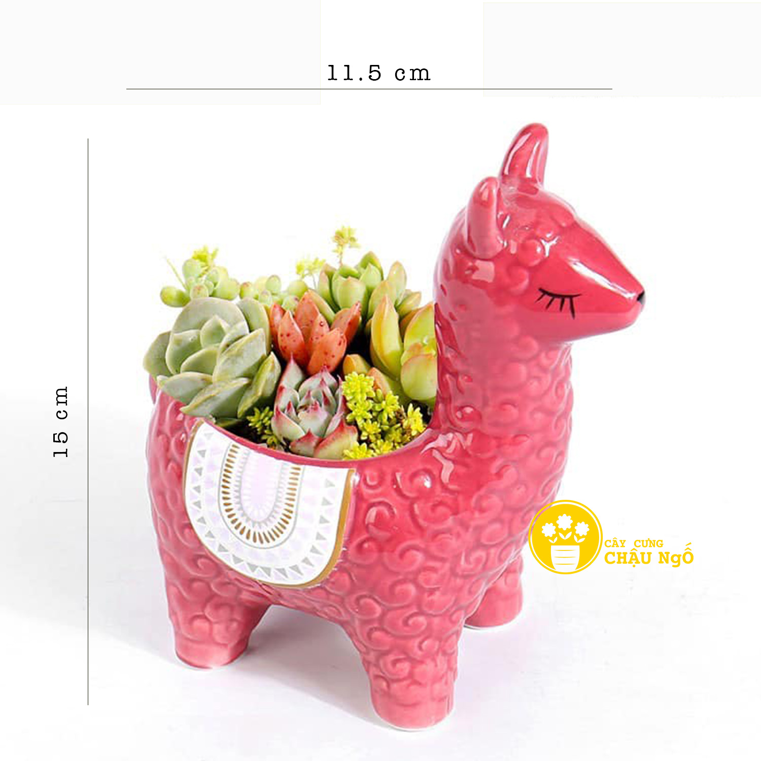 Chậu gốm lạc đà