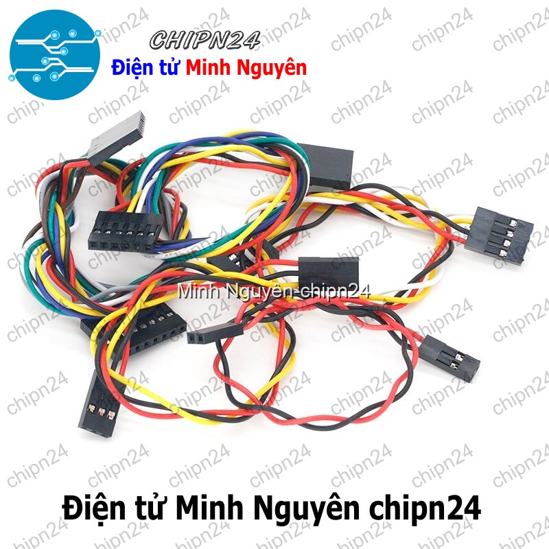 [2 sợi] (D119) Dây bẹ màu 2.54mm 2p 20cm