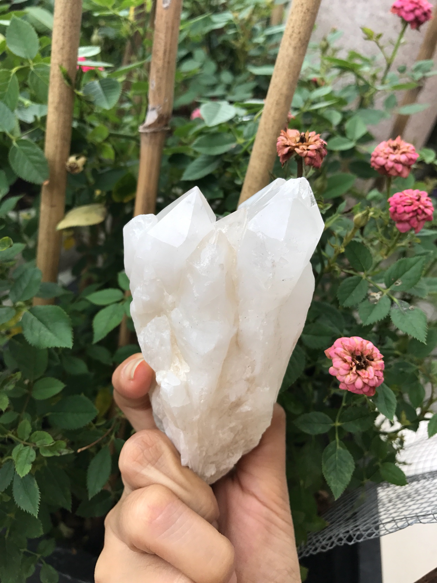 Đá thạch anh sưu tầm