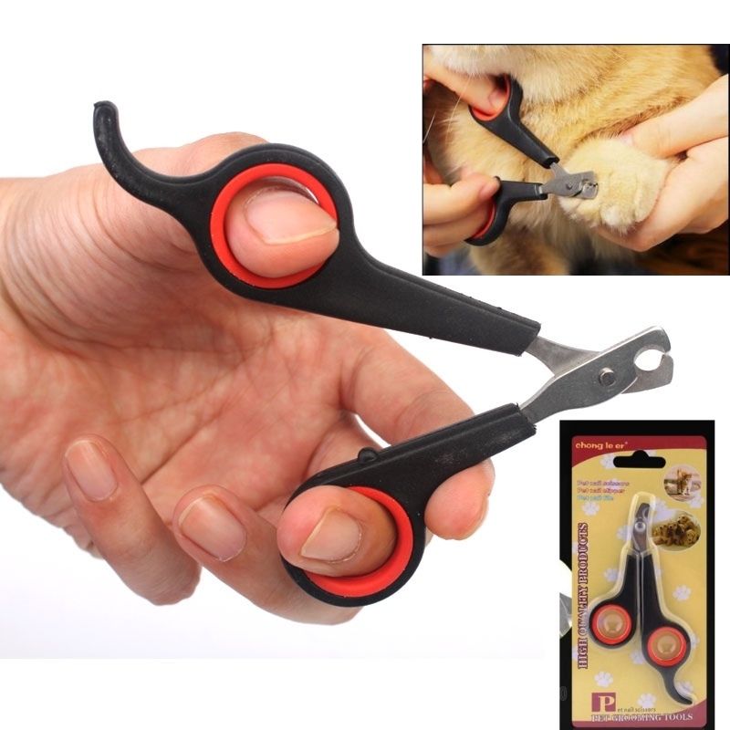 Kéo cắt móng mèo, cắt tỉa móng cho thú cưng