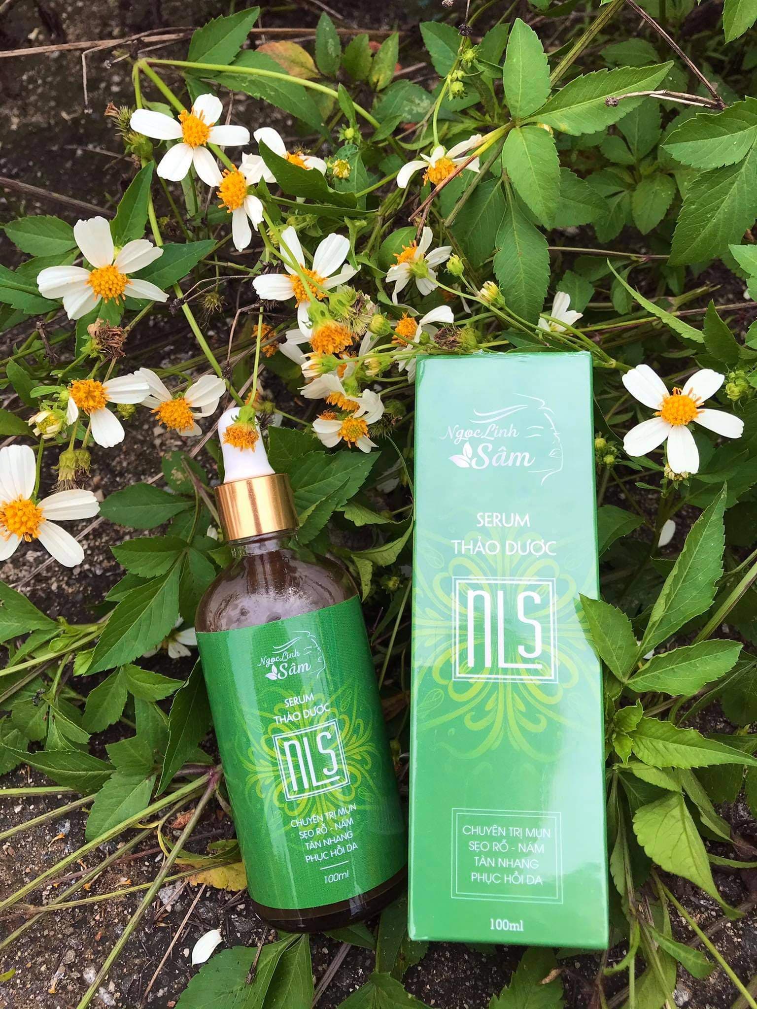 Serum thảo dược ngọc linh sâm đánh bay mụn nám