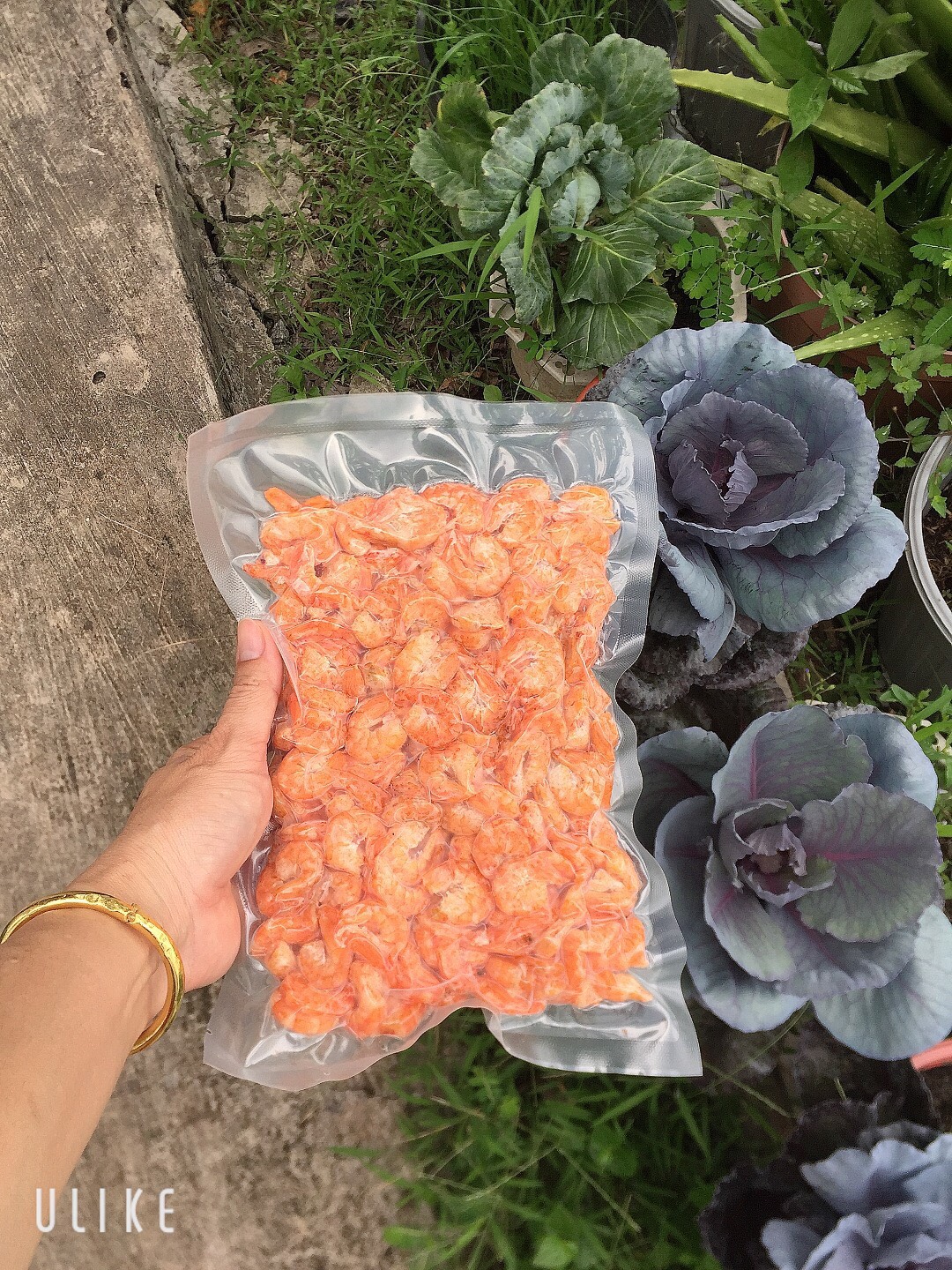 Tôm khô Cà Mau 1 kí (tôm thẻ)