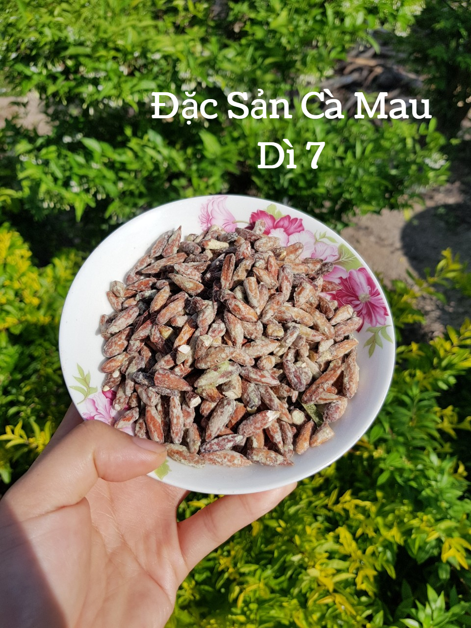 [200Gram] Hạt bàng đặc sản Côn Đảo (vị rang dứa)