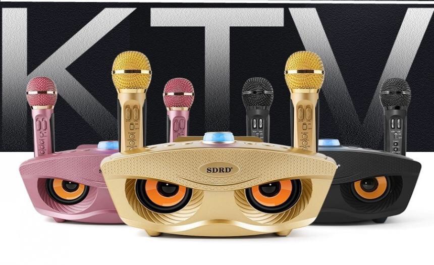 Loa karaoke bluetooth mini di động SD - 306 + Tặng Kèm 2 Mic Không Dây | Hỗ trợ cáp kết nối trực tiếp với các thiết bị khi không muốn kết nối qua Bluetooth | Mic hát karaoke có hiệu ứng như ECHO | Loa bluetooth bảo hành 12 tháng