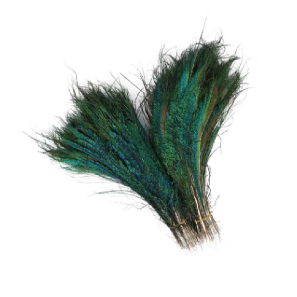 Lông Công RIA 25- 30cm trang trí ,chiêu tài phong thủy (5 lông)