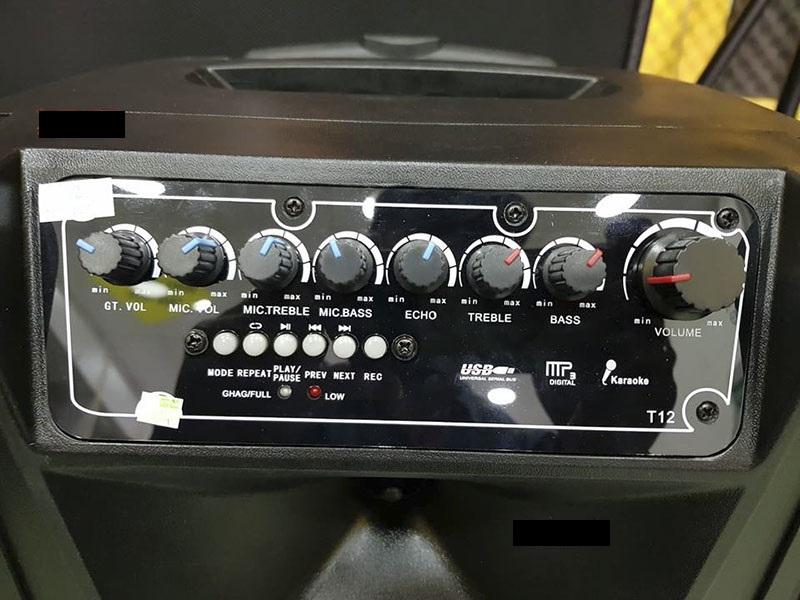 Loa kéo Karaoke di động Bluetooth Ronamax T12 ( 300W )