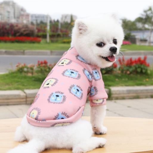 ÁO CHÓ MÈO 2 CHÂN CHẤT NỈ CO DÃN - Boss City