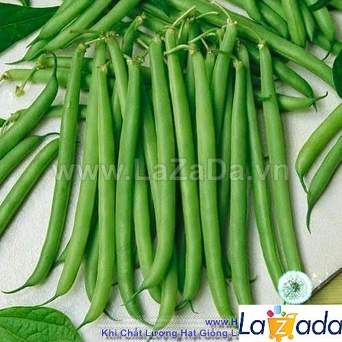 [HCM]BỘ 5GÓI 20Gr Hạt Giống Đậu Cove Leo Hạt Đen (A1.201| Y23*W23)