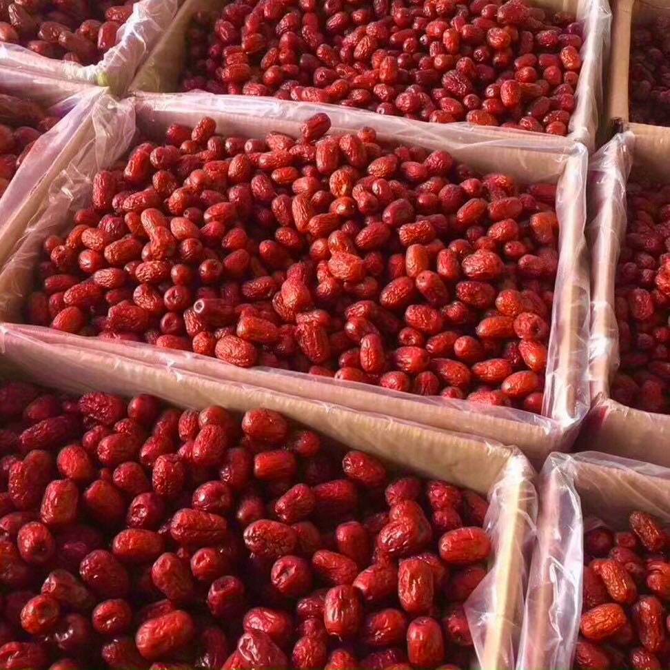 Táo đỏ khô hàn quốc/ tân cương (có video)