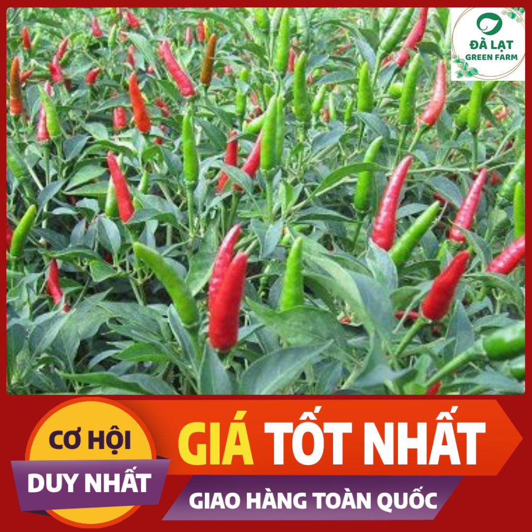30H_HẠT GIỐNG ỚT HIỂM (SIÊU TRÁI)