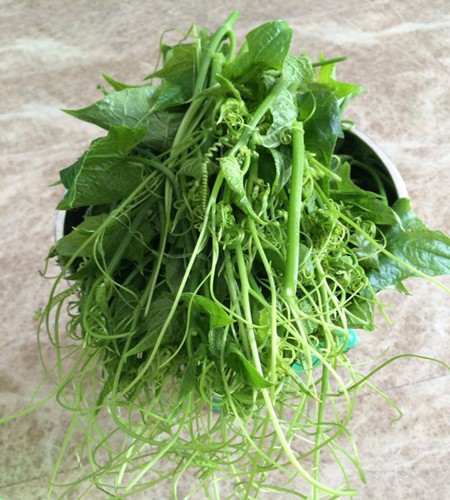 Hạt giống Bí Siêu Ngọn Bí Lấy Ngọn ( Gói 10Gram ) - Nông Sản Vàng