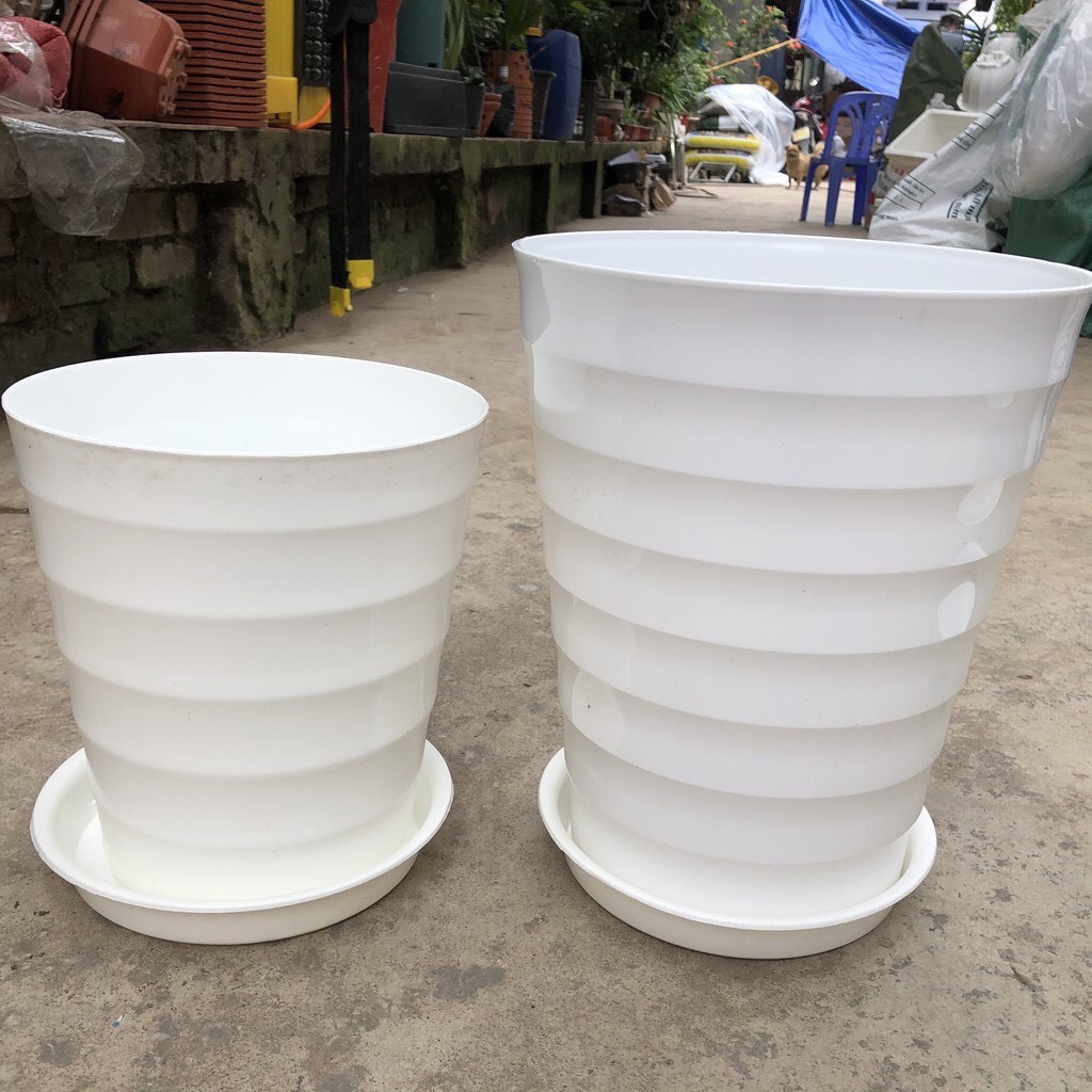 Combo 5 chậu vòng tròn đủ size trồng cây, hoa
