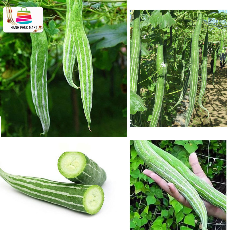 [HCM]Hạt giống Mướp Rắn F1 - PhuNongSeeds