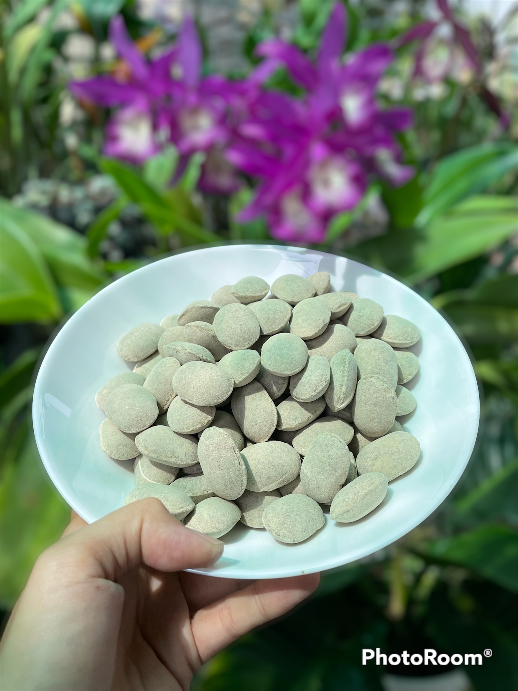 Phân Hạt Bàng Nhật NURSERYACE 12-6-6 +1,2Mg ABCLam