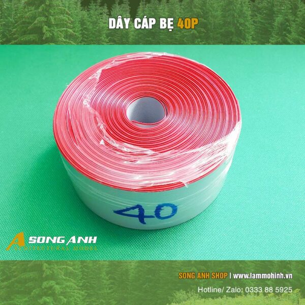 Dây cáp bẹ 40P ( 1 hộp 2 mét )