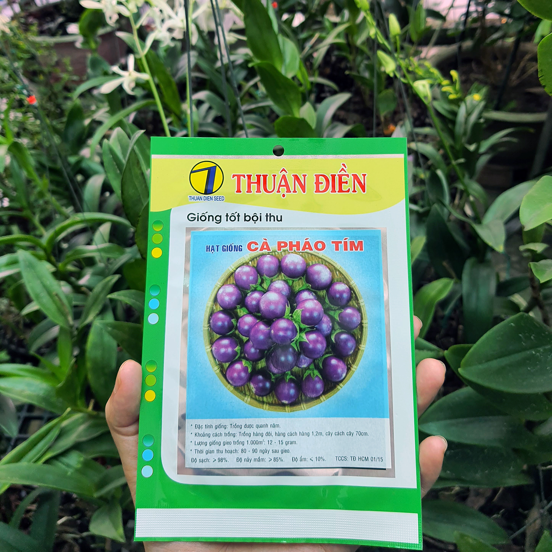 Hạt giống cà pháo tím gói 1g