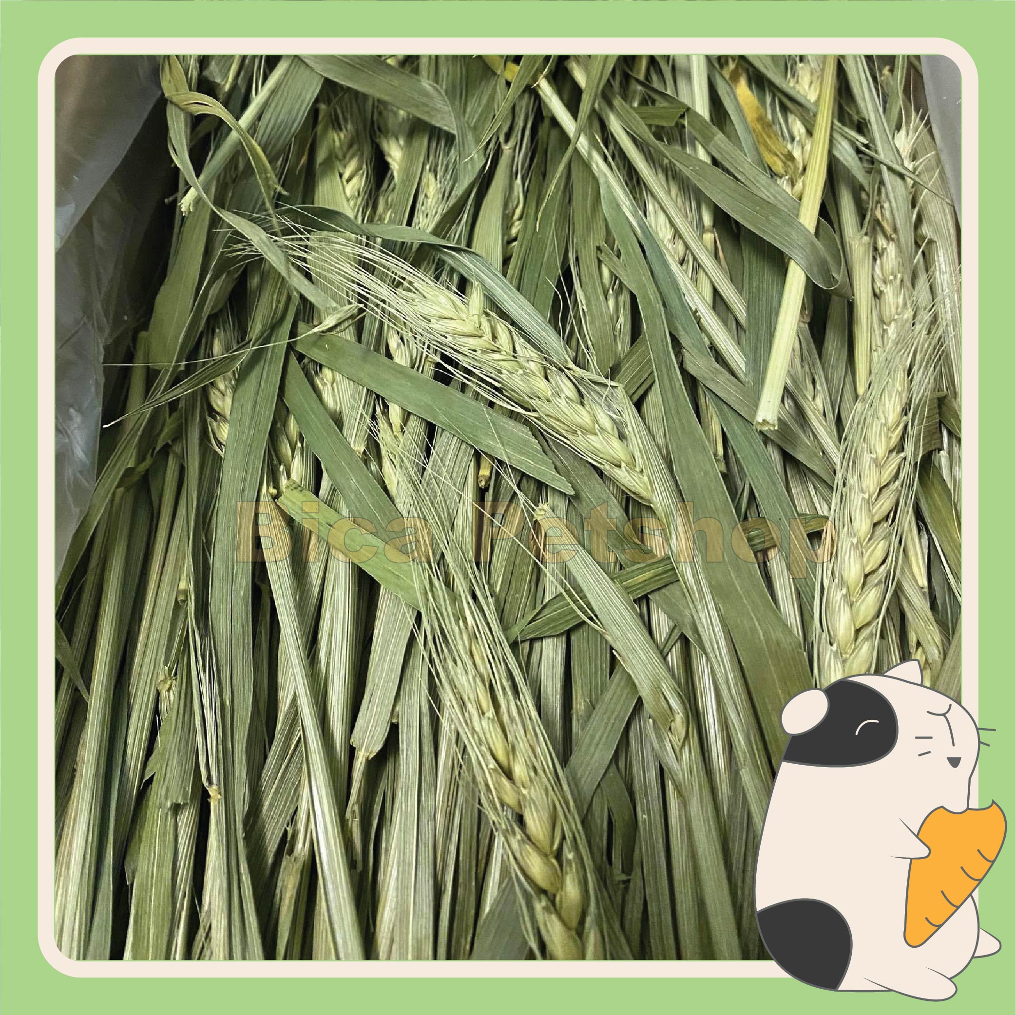 Cỏ khô lúa mì 250g cho thỏ, chuột lang, chinchilla,...