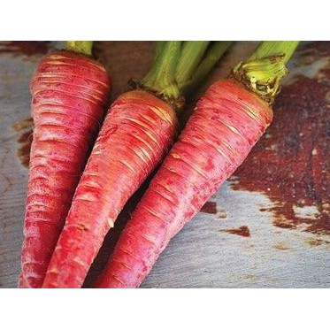 400H - Hạt Giống Cà Rốt Đỏ