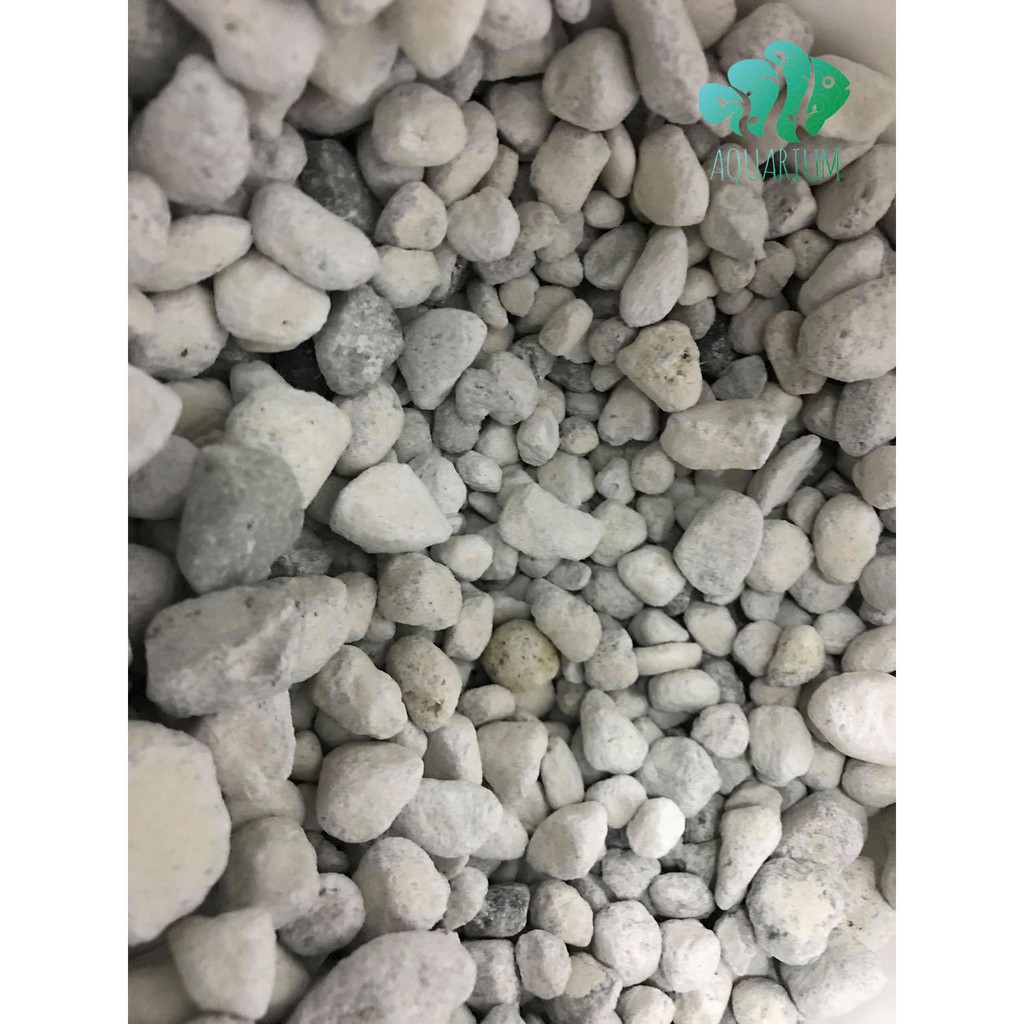 Vật liệu lọc cao cấp Matrix 100ml ~ 70g
