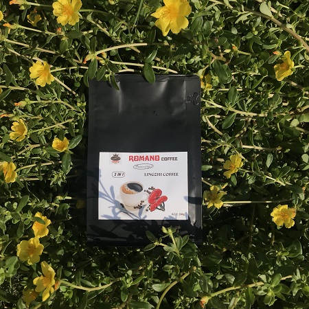 RomanoCoffee Cà phê Linh Chi 2in1 (Gói 200gr)
