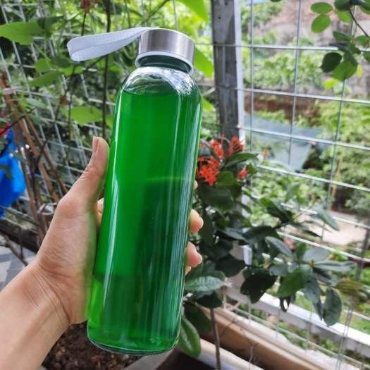 Chai thủy tinh đựng detox 500ml có quai