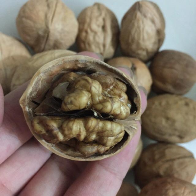 1kg hạt óc chó