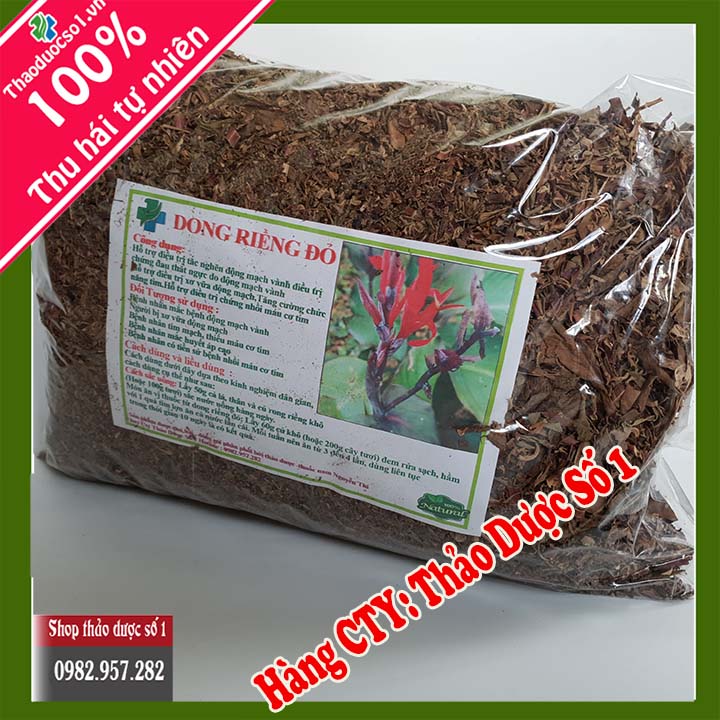 Cây dong riềng đỏ - 1KG Cao Cấp