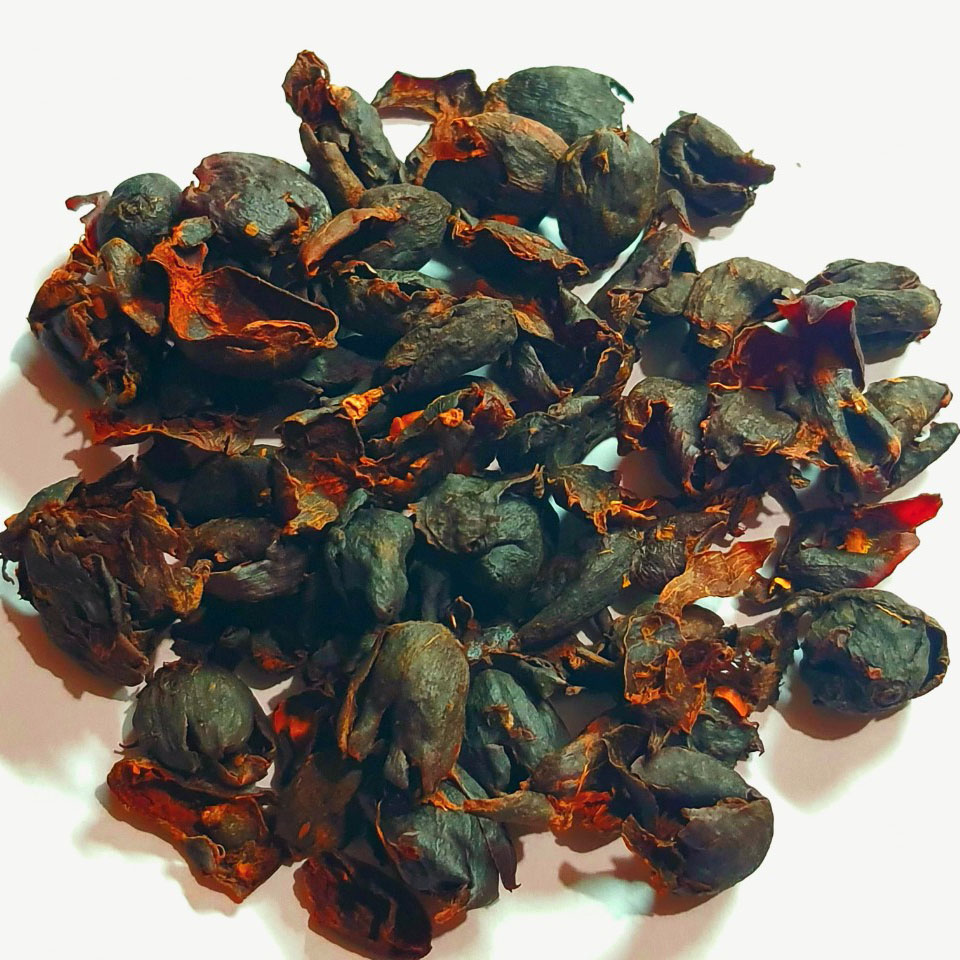 TRÀ CASCARA CAO CẤP - TRÀ LÀM TỪ VỎ TRÁI CÀ PHÊ ARABICA