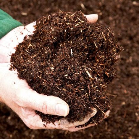 Nấm Đối Kháng Trichoderma Dùng Ủ Phân, Xử Lý Đất Trồng (Gói 1kg)