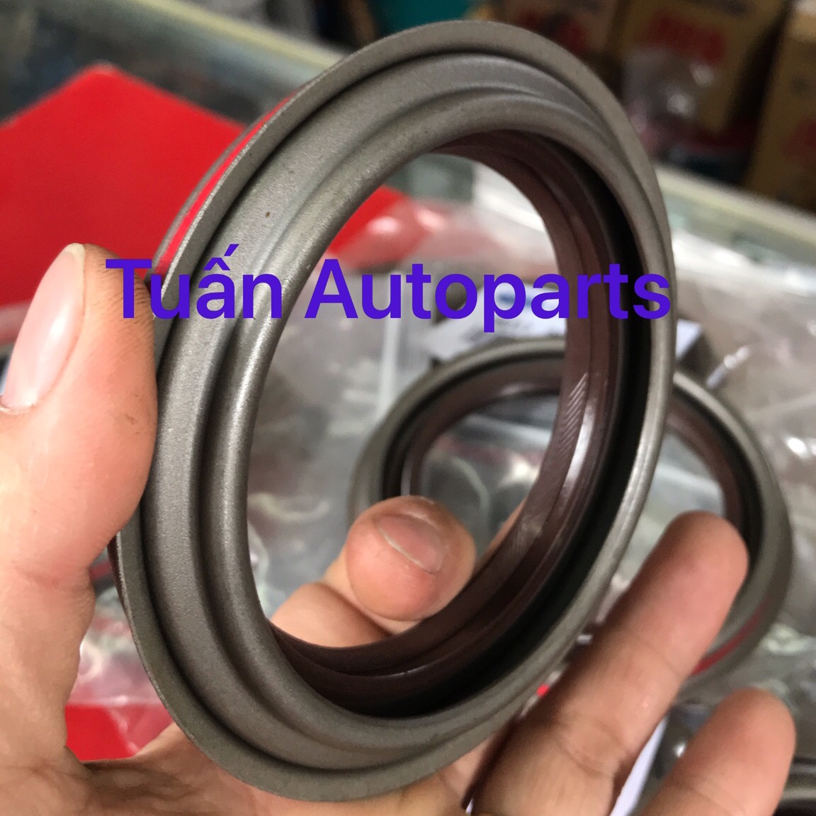 Phốt bánh sau ford transit 2010-2019