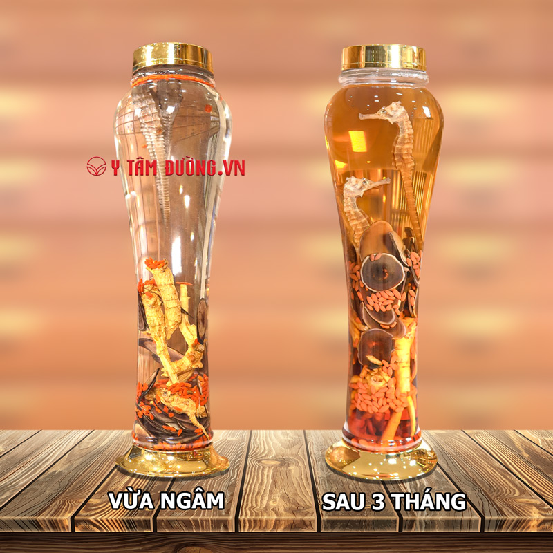 Thang Sâm Nhung H.Mã ngâm 4 lít