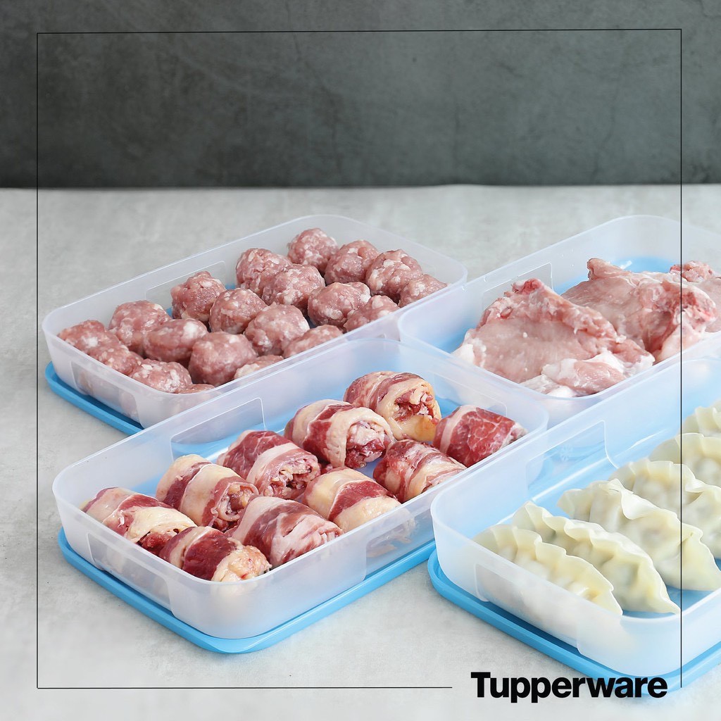 Hộp Trữ Đông Dẹt Tupperware 550ml - Tupperware Mall Chợ Lớn