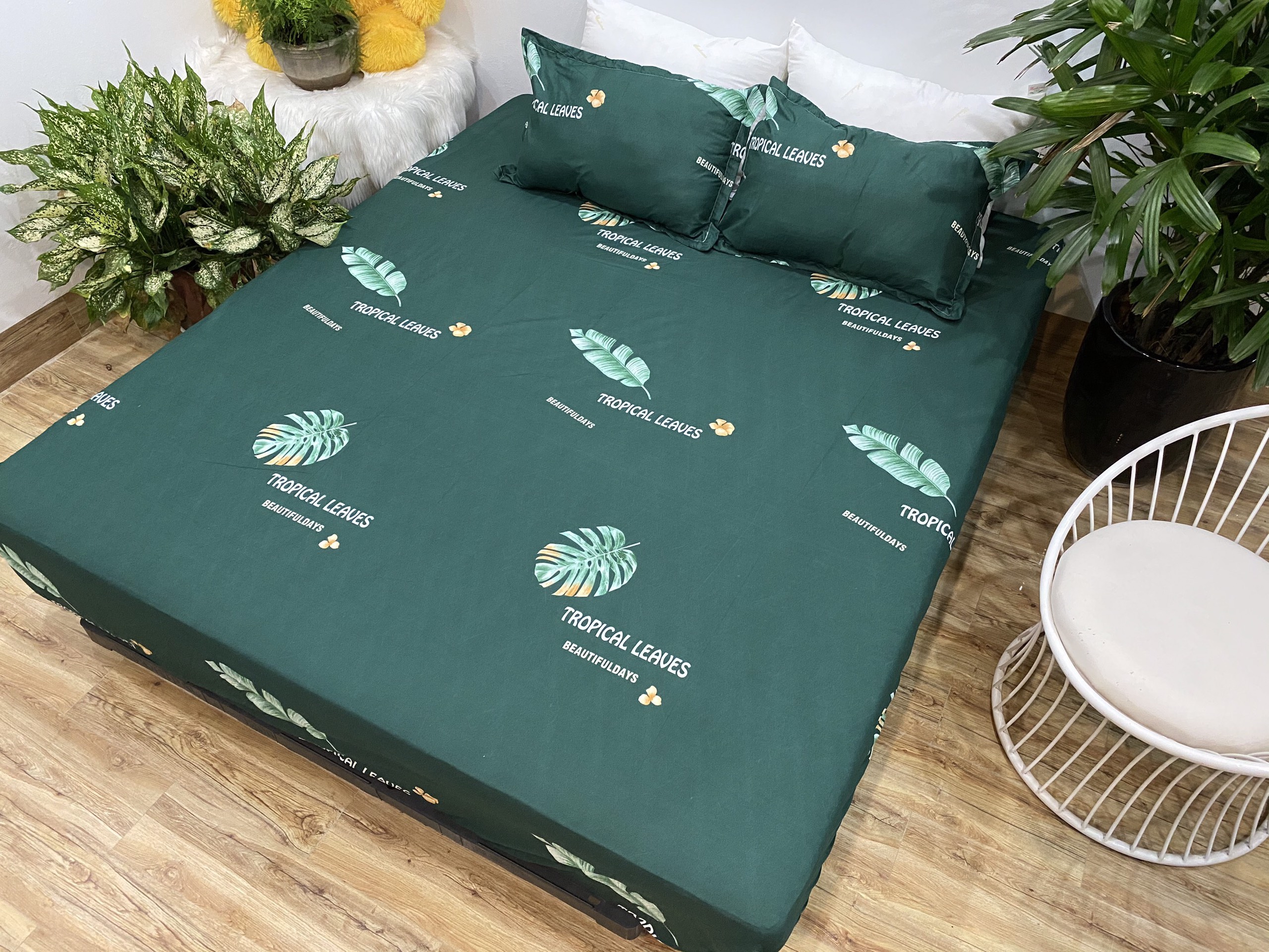 Set Ga Gối 3 Món (Gồm 1 Ga bo chun + 2 Vỏ Gối Nằm) Mẫu Lá Chuối CH219