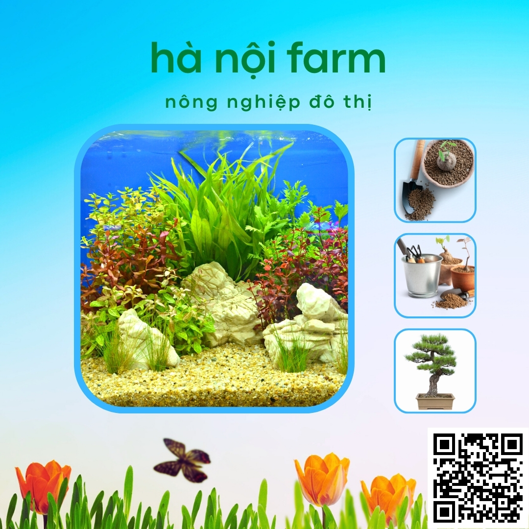Đất nung Nhật Bản Akadama, Đất nung núi lửa - 1KG