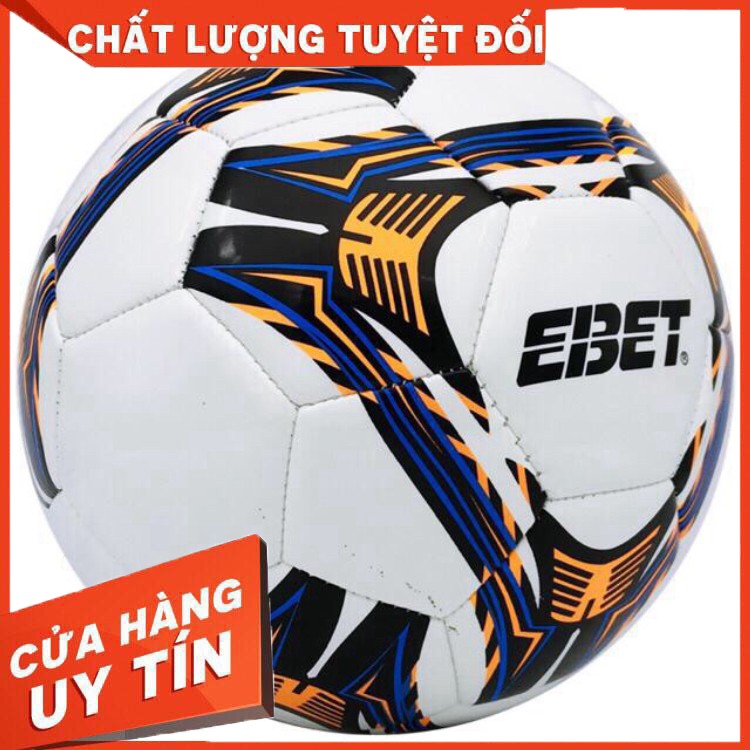 Quả bóng đá Động Lực may số 5 (nhiều màu)