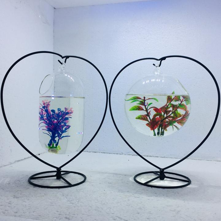 Bể cá mini để bàn combo 2 bể