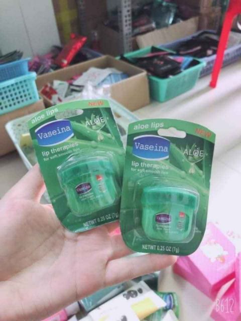 –Son dưỡng môi Vaseline và nha đam Vaseina
