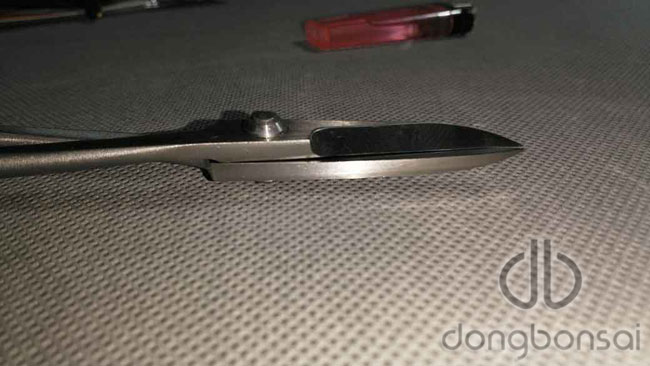 Kéo tỉa Ryuga RS-01