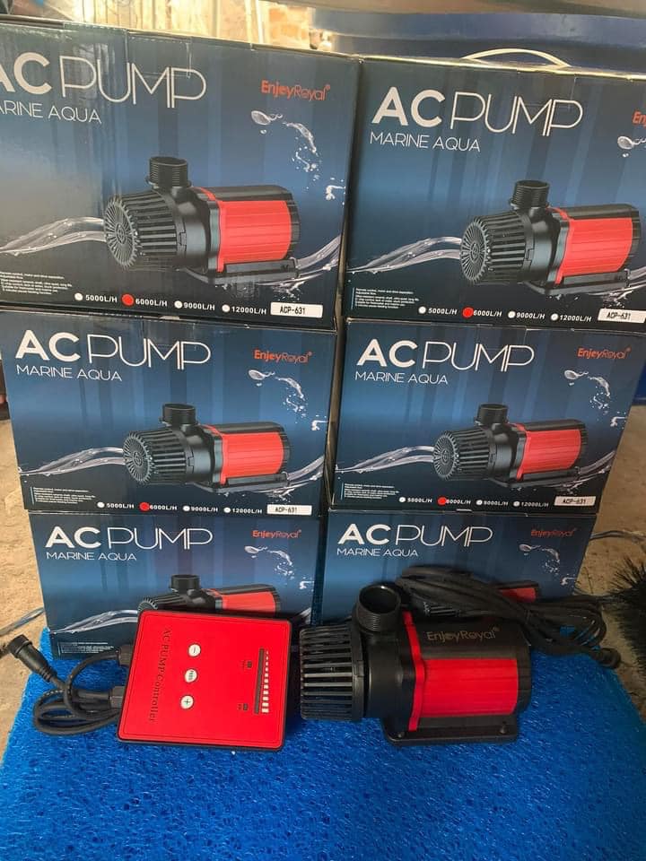 Máy bơm EnjoyRoyal ACP Hồ Cá Koi 15000