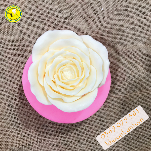Khuôn silicon hoa hồng nhung nở đại 11.5cm