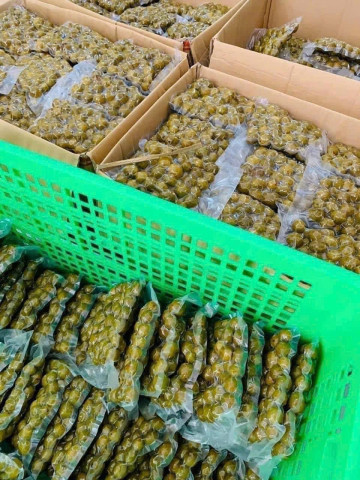 Sấu Bao Tử Chua Cay Ngọt Trai Đẹp
