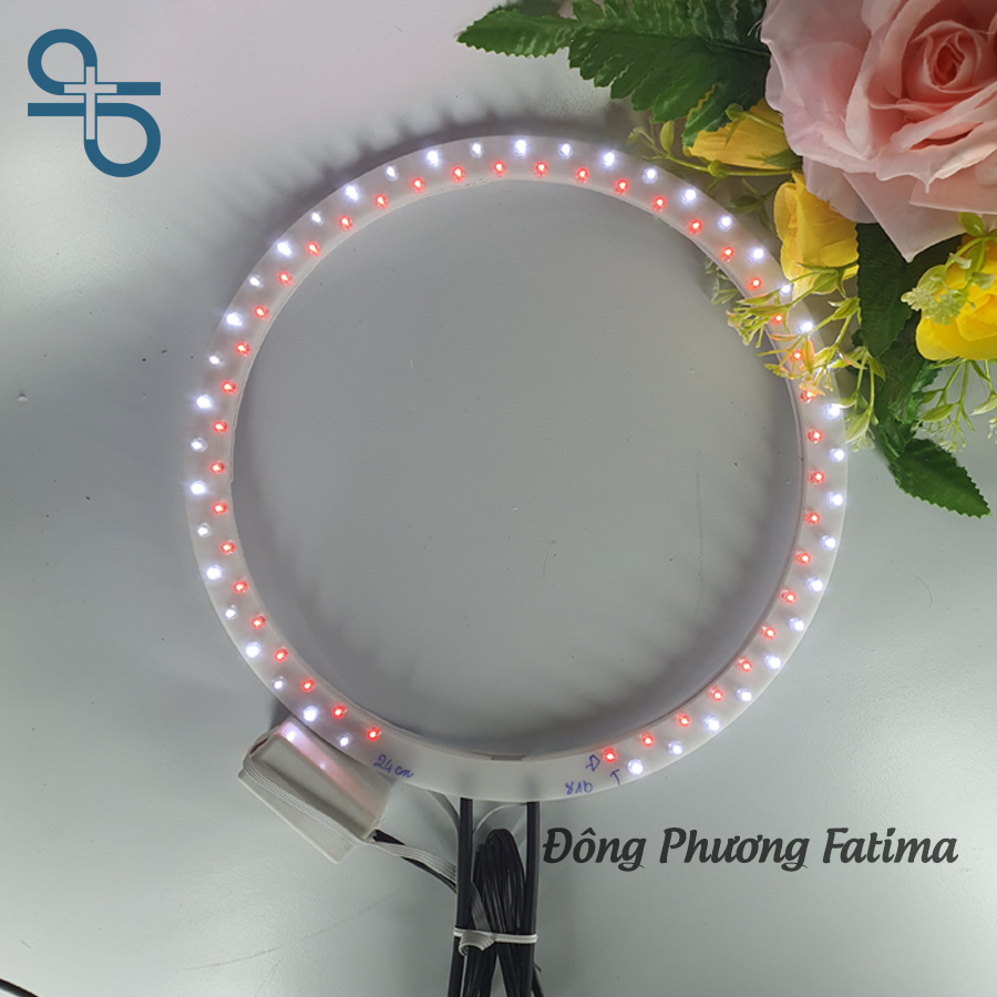 Vòng Hào Quang Led Đôi 24cm